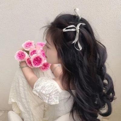 最后的气宗